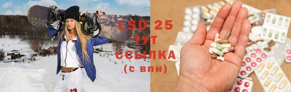 сатива Волоколамск
