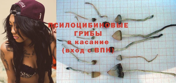 сатива Волоколамск