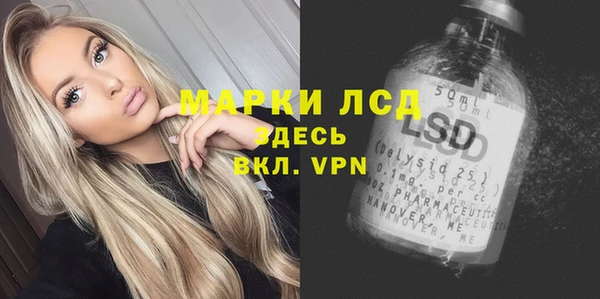 ГАЛЛЮЦИНОГЕННЫЕ ГРИБЫ Иннополис